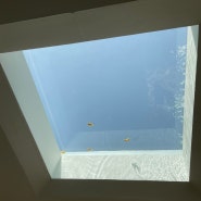 익산 이리카페 - 천장에 금붕어있는 카페 : 익산데이트 장소 추천해