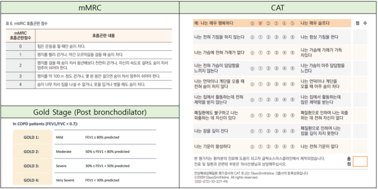 COPD 약물치료(2023 GOLD guideline)(ppt첨부) : 네이버 블로그