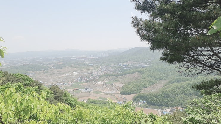 오전 12시 09분 : 네이버 블로그