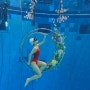 프리다이빙 수중촬영 사진, 고프로 영상으로 예쁜사진 찍기 (꿀팁 포함)