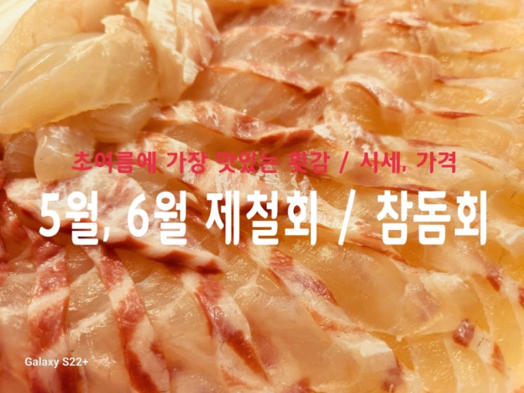5월, 6월 제철회 :: 참돔회 가격, 시세 / 초여름에 가장 맛있는 횟감. 민락어민활어직판장. : 네이버 블로그