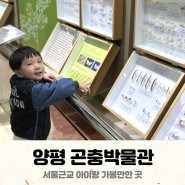 양평 곤충박물관 입장료 주차 서울 근교 아이랑 가볼만한곳