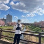 [일본/삿포로 교환학생] 벌써 한 달~ (삿포로 벚꽃, 슈퍼 마리오 브라더스)