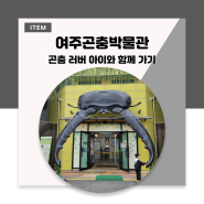 곤충을 좋아하는 아이와 가볼만한 경기도 여주곤충박물관 추천 (주차 편해요)