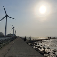 [대부도] 풍력발전기 바다 풍경 탄도항