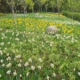 [대부도] 봄꽃 산책 바다향기수목원