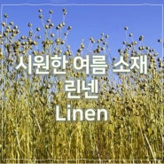 여름이면 찾아오는 소재, 린넨 (Linen)은 무엇일까?