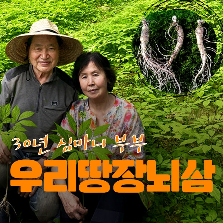 [우리땅 장뇌삼] 장뇌삼 효능, 장뇌삼 먹는 방법, 좋은 점, 산양삼, 산양산삼, 산지직송 : 네이버 블로그