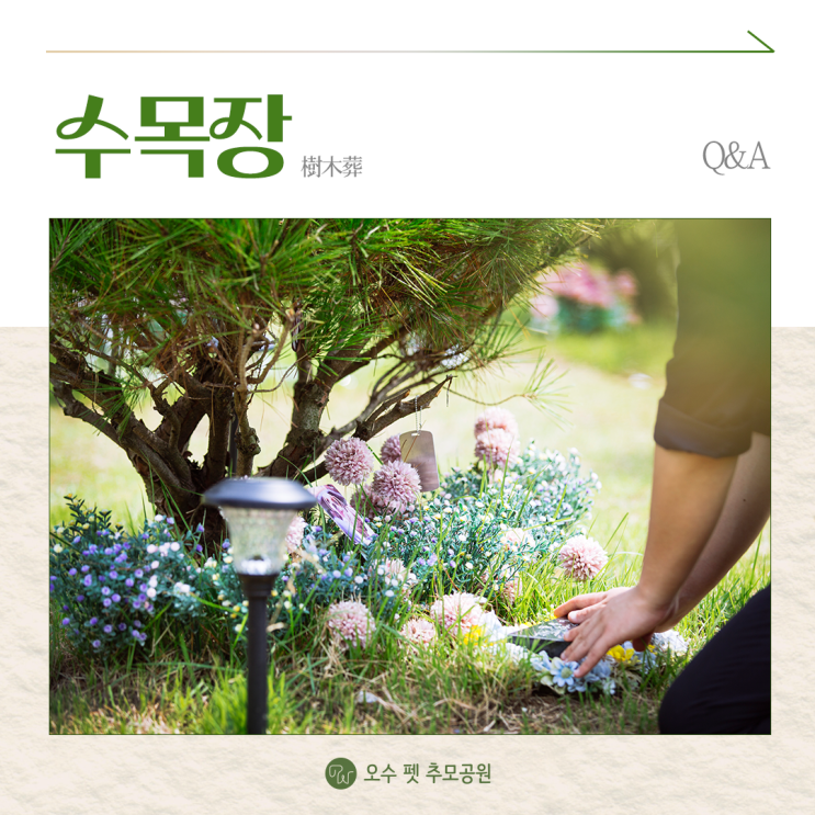 오수 펫 추모공원 반려동물 수목장에 대해 궁금하신 점 알려드립니다 : 네이버 블로그