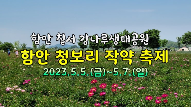 함안 강나루생태공원 청보리 작약 축제