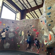 초등학생 미국 실내 암벽등반 도전하기 _ Movement Rock Climbing