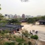 서울 가볼만한곳, 창경궁 야간개장 시간 및 대온실 예약