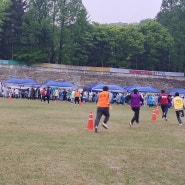 용인시민기자단 4월 기사 - 기흥구 한마음 체육대회