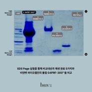 G4PRF-300™️에 포함된 337가지의 성장인자와 단백질의 식별 및 정량화 시험 결과, SCI 저널 게재