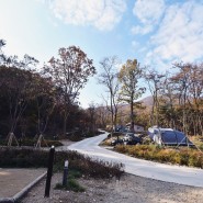 5월 5일 재개장하는 천안 태학산자연휴양림 오토캠핑장