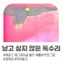 그림책,날고 싶지 않은 독수리/제임스 애그레이 글/볼프 에를부르프그림