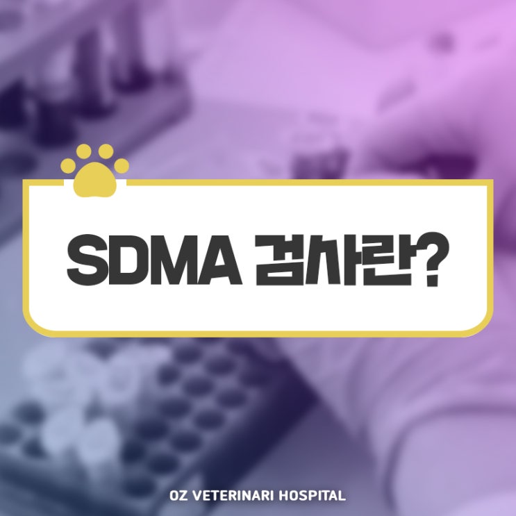 강아지 고양이 SDMA 검사 만성 신장 질환의 조기 진단 : 네이버 블로그