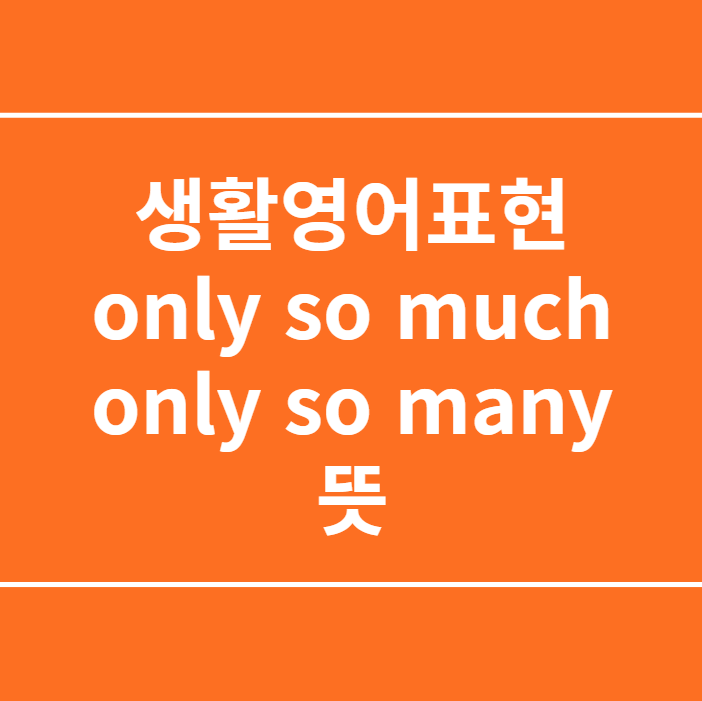 생활영어표현 only so much, only so many 뜻 : 네이버 블로그