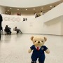 큰곰이와 함께하는 뉴욕 구겐하임 미술관 #GEGO