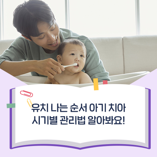 유치 나는 순서 아기 치아 시기별 관리법 알아봐요! : 네이버 블로그