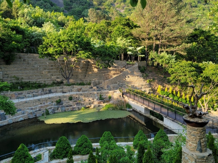 월아산 자연휴양림 숲속의 진주에서 산책 그리고 숲속의 집에서...