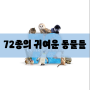 넷플릭스 힐링다큐 동물다큐 추천 / 72종의 귀여운 동물들