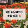 <아산 피나클랜드 튤립•수선화 축제> 천안 가볼 만한 곳 & 전국 튤립 명소 추천