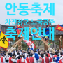 안동축제/ 차전장군 노국공주 축제 안내