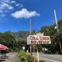 하와이 태교여행 #3-2 쿠알로아 랜치 근처 갈만한 곳, 맛집/마카다미아 농장 / 코랄 킹덤 훌리훌리 치킨/ 카일루아 비치