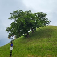 경주 거리