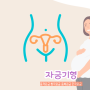 자궁기형 종류 중격자궁 쌍각자궁 중복자궁 단각자궁 자궁기형 임신가능성은?