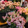 구월동 꽃집-어버이날 선물 카네이션 꽃다발 꽃바구니 스승의날