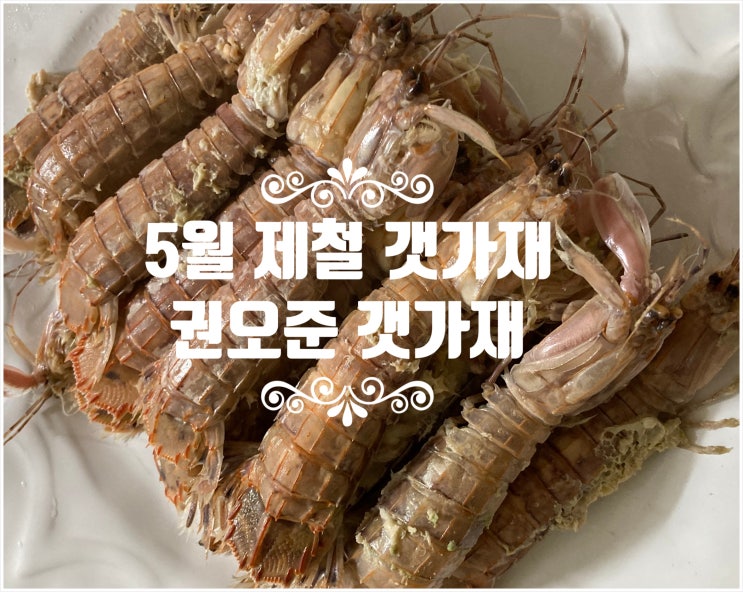 [5월 제철 음식] 쏙 갯가재 찌는법 권오준 농수산물 갯가재 활갯가재 먹는법 : 네이버 블로그