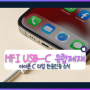 아이폰 애플 MFi 전용 인증 USB-C 케이블 판매 정지할 수도 있다