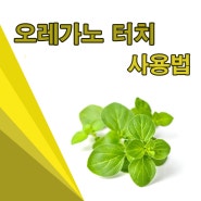 오레가노 터치 사용법 10가지!