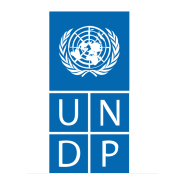 [국제기구 취업] UNDP 서울정책센터 인턴 1차, 2차 합격 후기