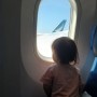 25게월 아기랑 한국으로 비행 (대한항공). 여행용 유아 변기시트 사용 후기