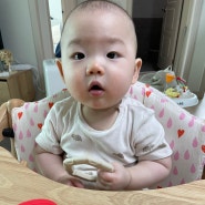 8개월 아기 이앓이 피싱껌_실리콘 치발기 추천