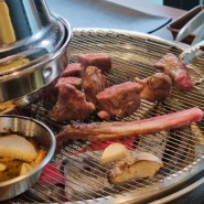 대전 관평동 양도둑, 회식하기 좋은 양꼬치 맛집, 대전 양갈비맛집