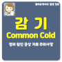 감기 (Common Cold) 코 목 몸살 열 기침 재채기 콧물 오한 두통 유행성 며칠 빨리 낫는법 환절기 어린이 정의 원인 증상 치료 주의사항