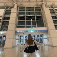 나트랑 자유여행 : 깜란공항 포보하노이 CCCP 미우미우스파