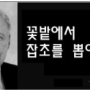 손절매의 6가지 원칙④