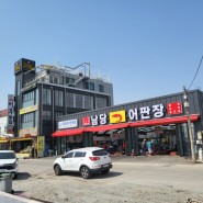 충남 홍성 / 남당항어판장 신선한 제철 회 쭈꾸미