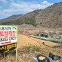2023년 첫 캠핑은 남한강을 품은 단양 무지개 오토캠핑장에서(늦은 후기)