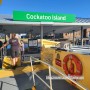 호주 시드니 일상/코카투아일랜드 캠핑 Cockatoo Island Camping ((작성중))