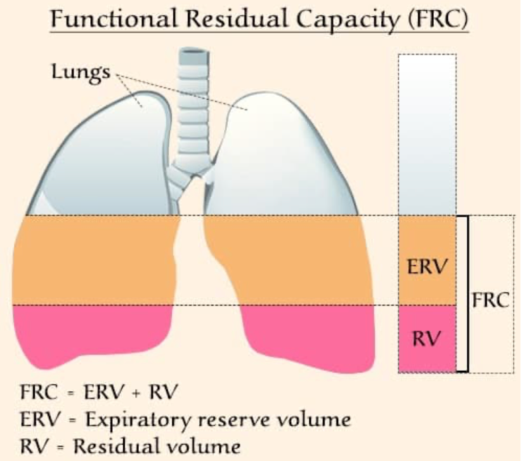 Functional Residual Capacity (FRC) 그리고 PEEP - 숨을 참아도 생명을 유지할 수 있는 이유 ...