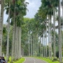 [인도네시아 여행] 보고르 Bogor