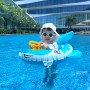 [마닐라여행] 콘래드마닐라 수영장 두번째 물놀이, 유아 보행기튜브 반입가능!
