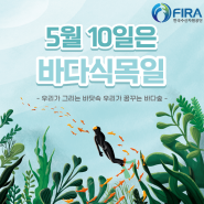 5월 10일은 바닷속에 해조류를 심는 ‘바다식목일’!