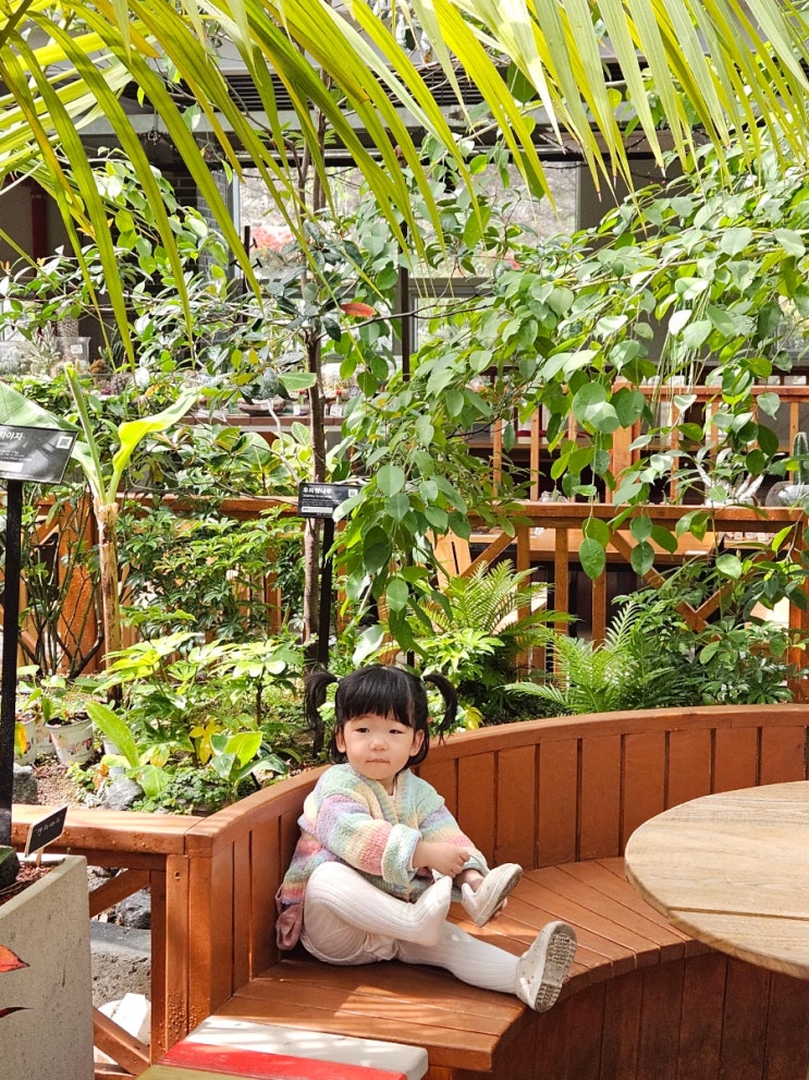 아이와 함께 나들이코스 대완성, 숲마을 카페 + 뷔페 /공원...